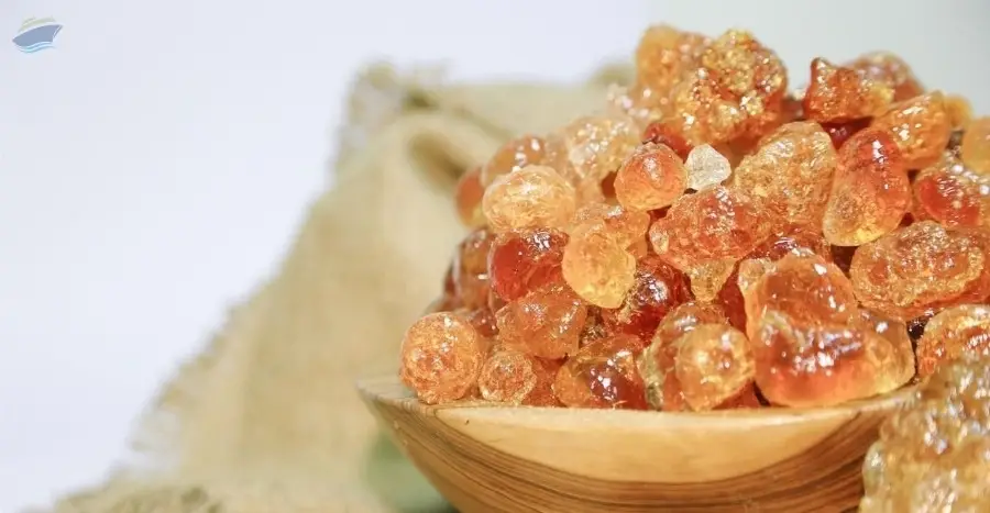 Gum Arabic