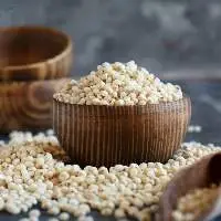White Sorghum