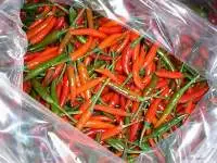Fresh Green Chilli