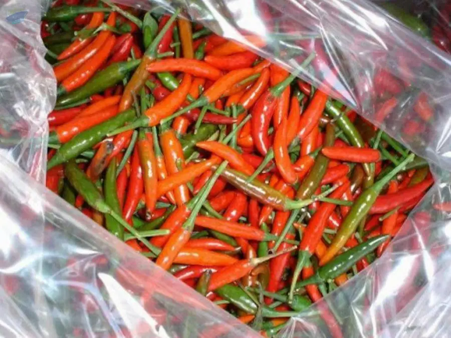 Fresh Green Chilli