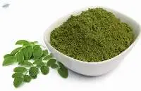 Moringa Oleifera Powder