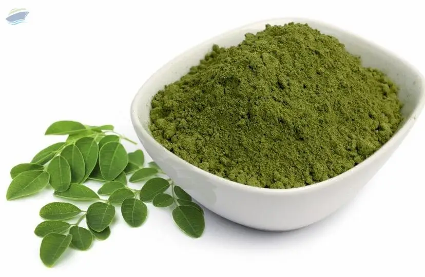 Moringa Oleifera Powder