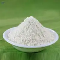 Maida