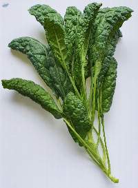 Tuscan Kale