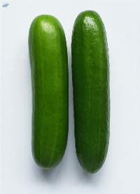 Cucumber