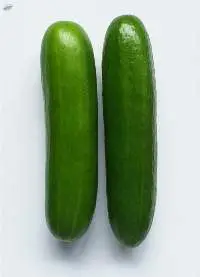 Cucumber