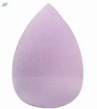 Cosmetic Sponge