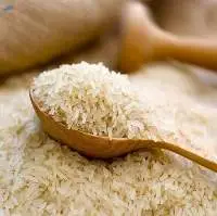 Rice