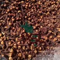 Cloves