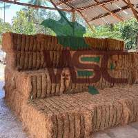 Coconut Fiber
