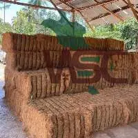 Coconut Fiber