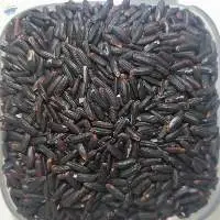 Black Glutinous Rice