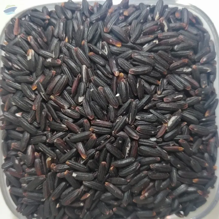 Black Glutinous Rice