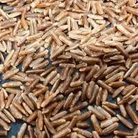 Red Brown Herbal Rice