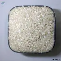 Short Grain White Rice
