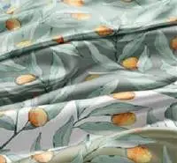 Digital Print Fabric