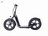 Street-Cruiser (LRS-YL-220-2001)