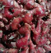 Red Ginger