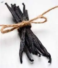 Vanilla Bean