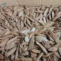 Agarwood / Oud