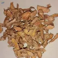 White Ginger