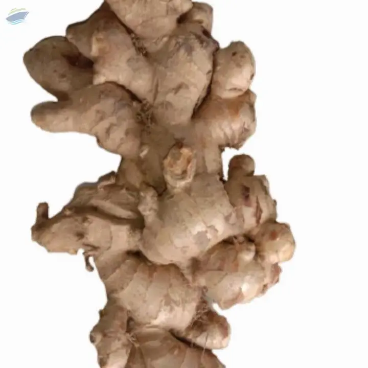 White Ginger