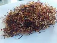 Kashmiri Lachha Saffron