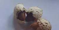 Almond Paper Shell