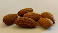 Almond Kernel Regular 1 Tree