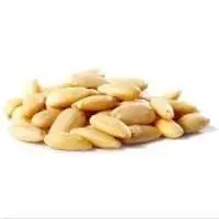 Blanched Almond Kernels