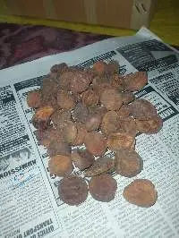 Organic Apricot