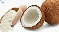 Coconut & Grated Coconut