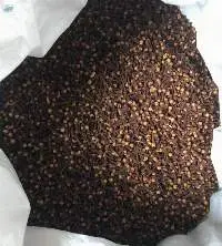 Cloves / Lawang