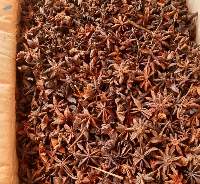 Star Anise