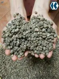 Green Beans Coffee Aceh Gayo