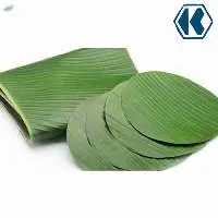 Banana Leaf