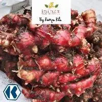 Red Ginger
