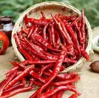 Guntur Dry Red Chilli