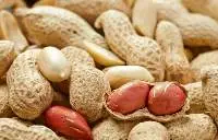 Inshell Groundnut