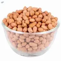 Java Groundnut 80/90