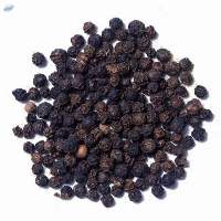 Black Pepper Seeds