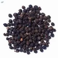 Black Pepper Seeds