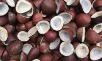 Cold Pressed Coconut Oil