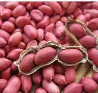 Red Groundnut Kernels
