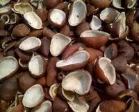 Coconut Copra