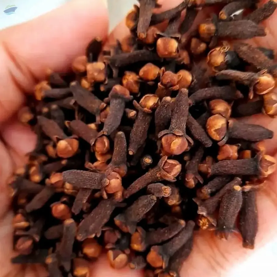 Cloves (Grade 01) 95/5