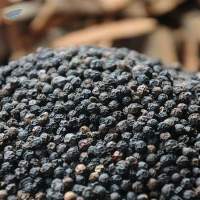 Black Pepper