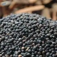 Black Pepper