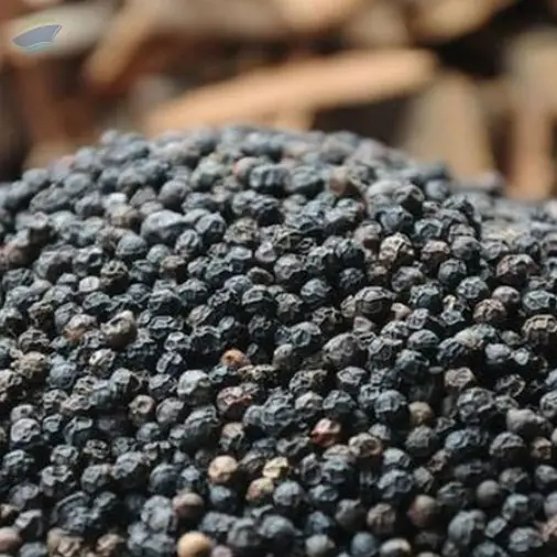 Black Pepper