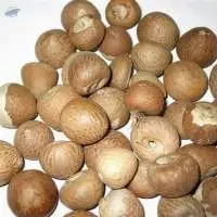 Betel Nut (Dry Areca)
